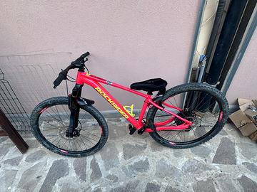 Mtb rockrider xc 120