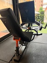 Leg Press Club line lacertosus