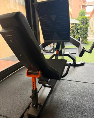 Leg Press Club line lacertosus