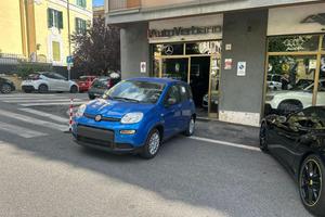 FIAT Panda 1.0 FireFly Hybrid -Pandina Nuovo Mod