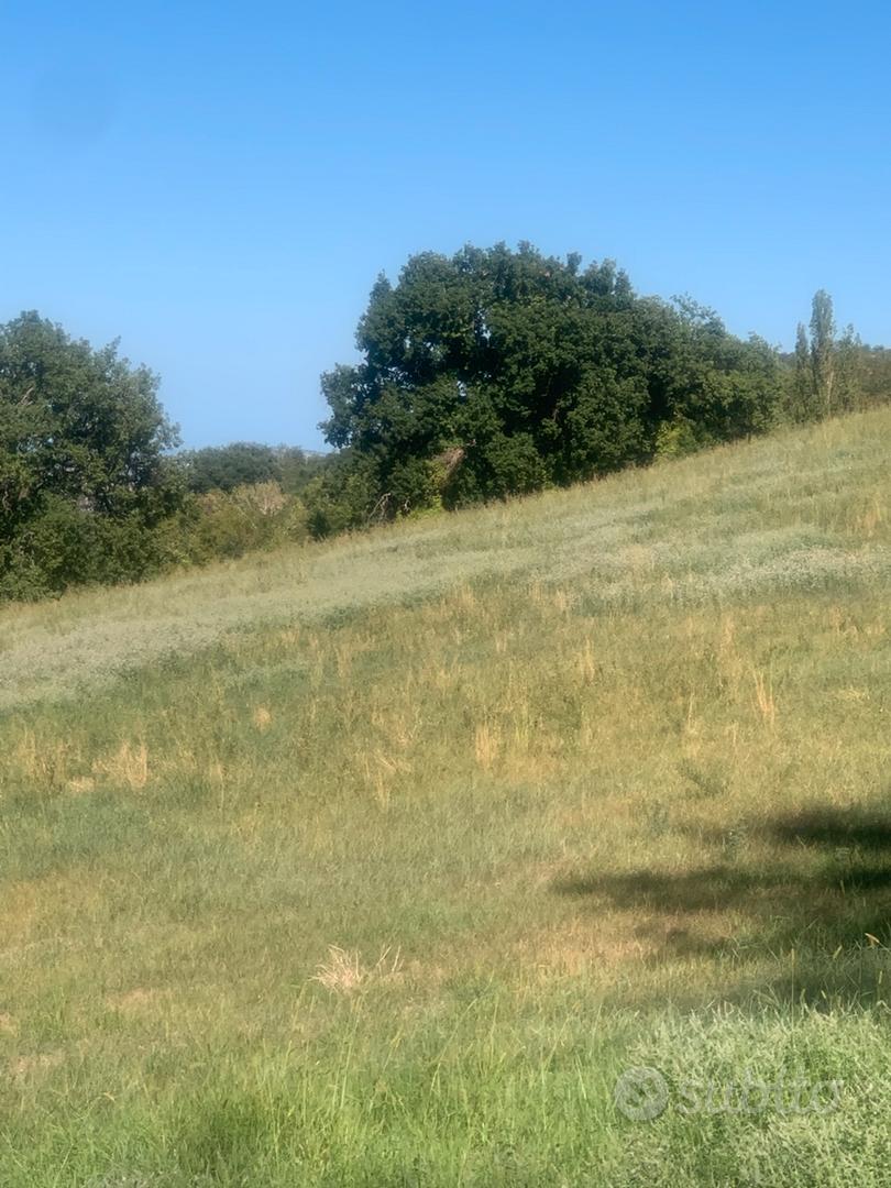 Terreno Agricolo - Vista 2