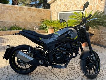 Benelli Leoncino 250 - 2023