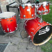 Tamburo Studio betulla 2020 4 pz