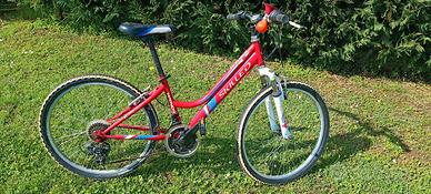 mountain bike taglia 24