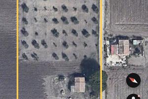 Casa di campagna con uliveto - Torre di Lama (FG)