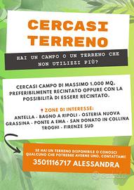 TERRENO Bagno a Ripoli e limitrofi