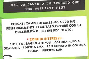 TERRENO Bagno a Ripoli e limitrofi