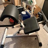 panca Kettler lombare