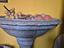 Immagine 3