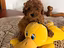 Immagine 1