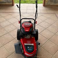 Decespugliatore a ruote