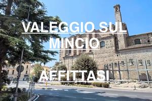 Valeggio sul mincio-bilocale