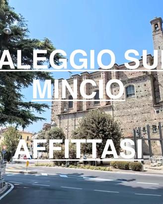 Valeggio sul mincio-bilocale