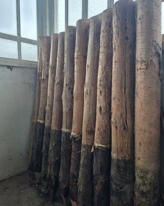 Pali legno