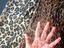 Immagine 3