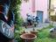 Immagine 4