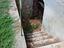 Immagine 25