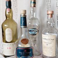 🍾 Bottiglia in vetro collezione *vuota*