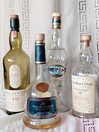 🍾 Bottiglia in vetro collezione *vuota*