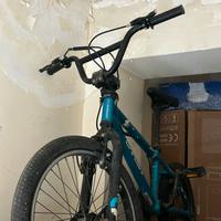 Bicicletta bmx
