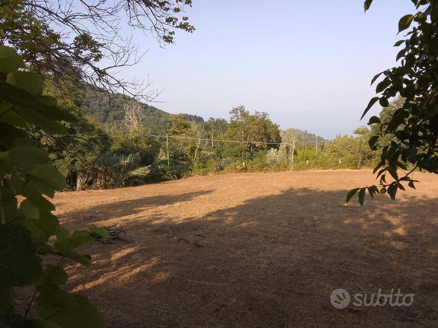 Terreno agricolo - Vista 2