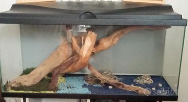 ACQUARIO CON COPERCHIO NO MOBILE 