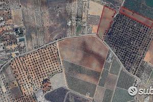 Terreno in C/da Mannara di Mq. 26.290