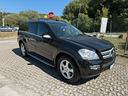 mercedes-benz-gl-350-320-cdi-4matic-cat-sport-7