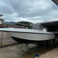 Barca a motore 40cv