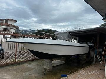 Barca a motore 40cv