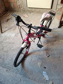 Bicicletta bambina 20