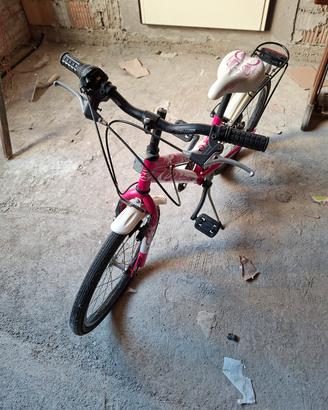 Bicicletta bambina 20