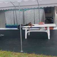 Campeggio- Veranda per Roulotte