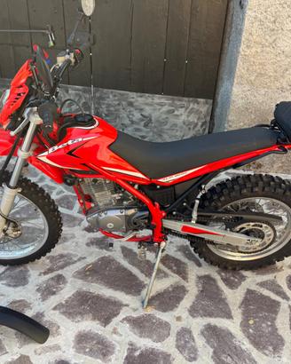 Beta Alp 200