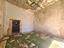 Immagine 7