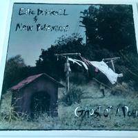 Vinile 33, Edie Brickell: Ghost of a Dog, 1990