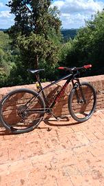 Mountain bike Specialized
