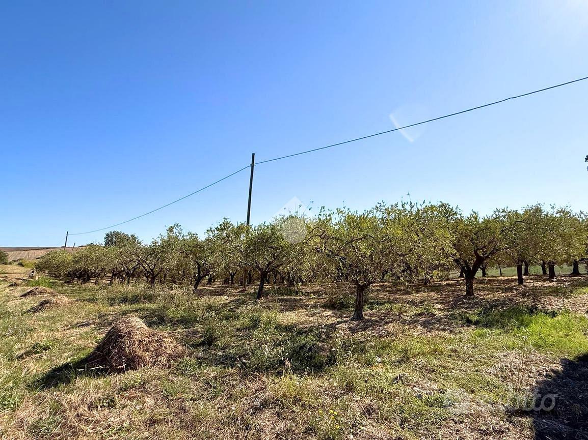 RUSTICO A MONTENERO DI BISACCIA - Vista 6