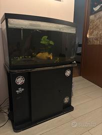 Acquario 200 litri