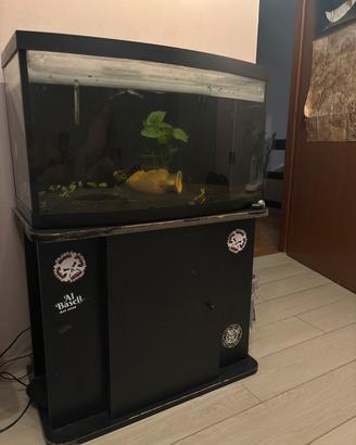 Acquario 200 litri
