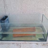 acquario vasca per allevamento pesci