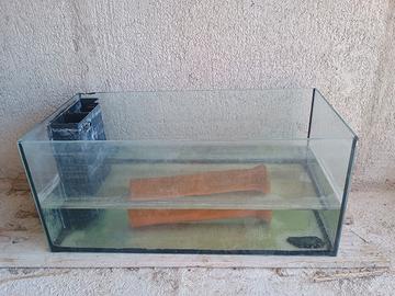 acquario vasca per allevamento pesci