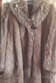 pelliccia marmotta 