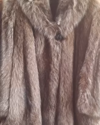 pelliccia marmotta 