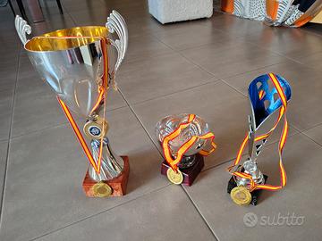 coppe e medaglie trofei sportivi 