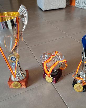 coppe e medaglie trofei sportivi 