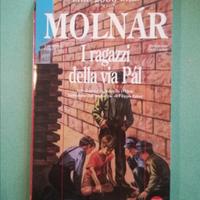 Molnar - i ragazzi della via Pal - newton


Molnar
