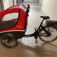 cargo e-bike bambini