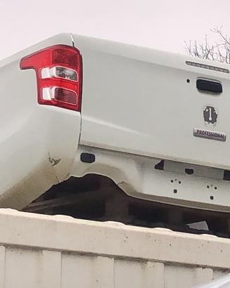 Cassone Fiat fullback