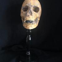 Scultura SCALA 1/1 "MEMENTO MORI" TESCHIO VINTAGE